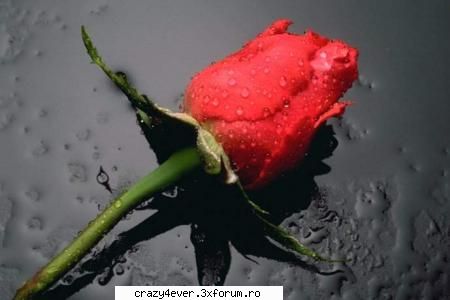 ziceti si voi! - Sorryna poza aia nu am dat`o la tot mircu doar - Sa ne cunoastem!